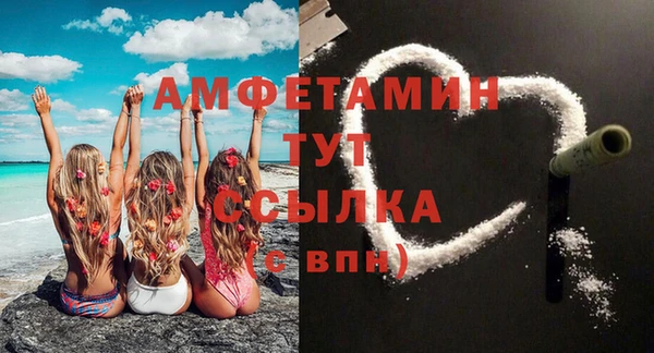 гидра Бородино