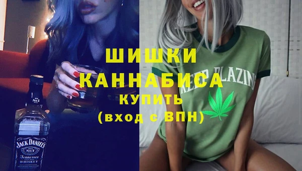 метадон Богданович